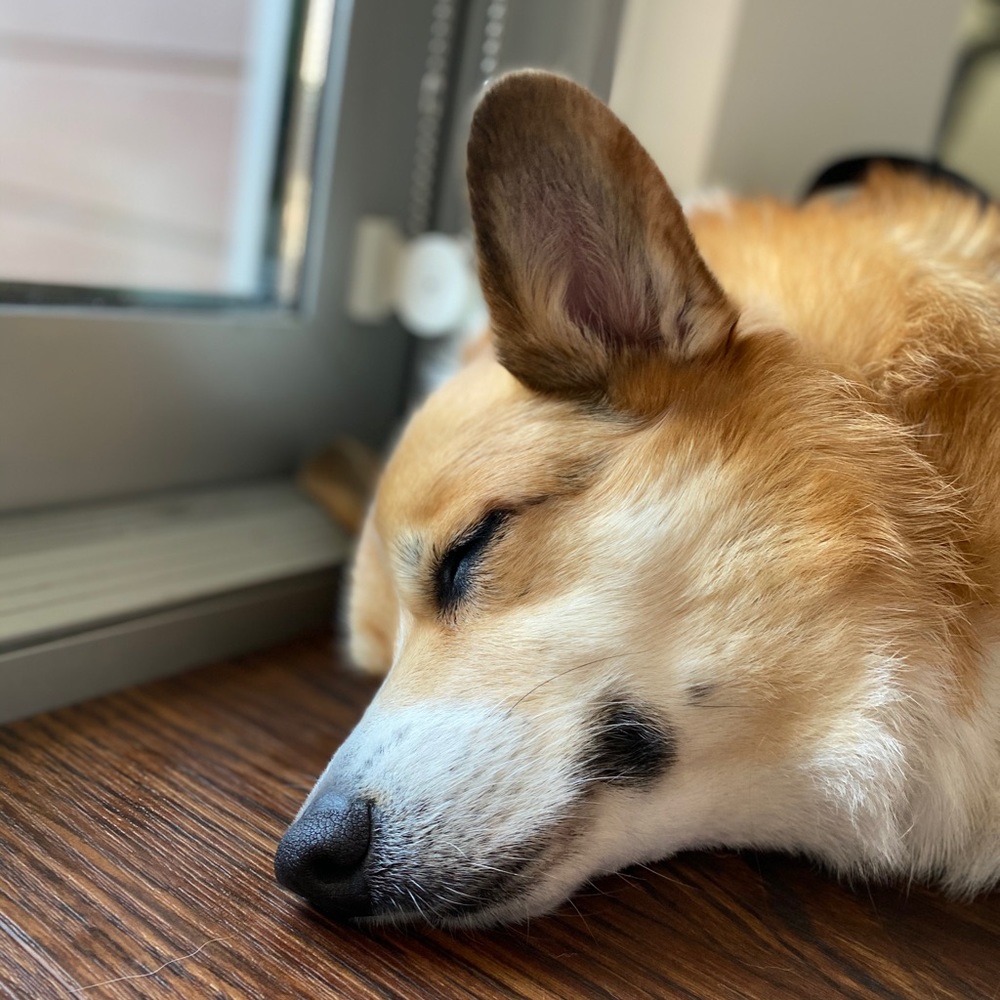 Meet your Posher, Mel